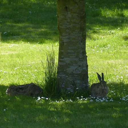 Birkely Bed & Breakfast