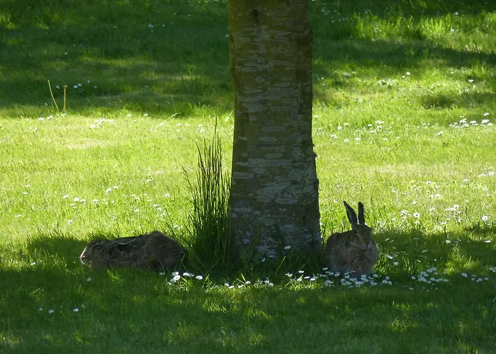 Birkely Bed & Breakfast